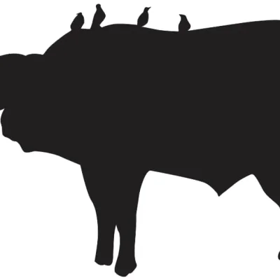 African Buffalo Wildlife Silhouette CNC DXF SVG Free Download CNC laser cut design