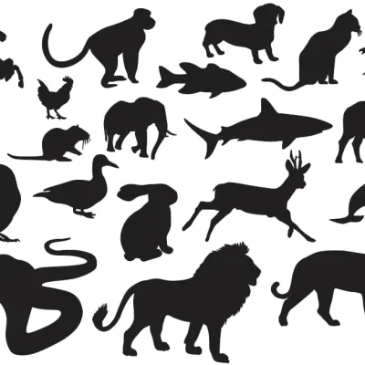 Animal Silhouettes Collection CNC DXF SVG Free Download CNC laser cut design