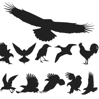 Birds Silhouette Collection CNC DXF SVG Free Download CNC laser cut design