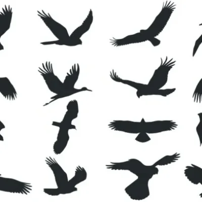 Flying Birds Silhouettes CNC DXF SVG Free Download CNC laser cut design