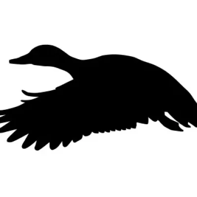 Flying Duck Bird Silhouette CNC DXF SVG Free Download CNC laser cut design