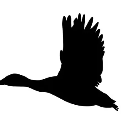 Flying Goose Bird Silhouette CNC DXF SVG Free Download CNC laser cut design