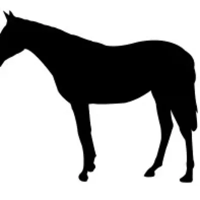 Horse Silhouette CNC DXF SVG Free Download CNC laser cut design