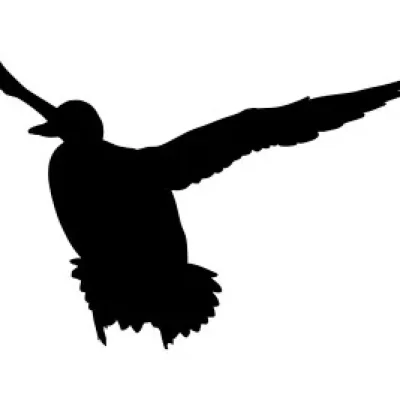 Hummingbird Silhouette CNC DXF SVG Free Download CNC laser cut design