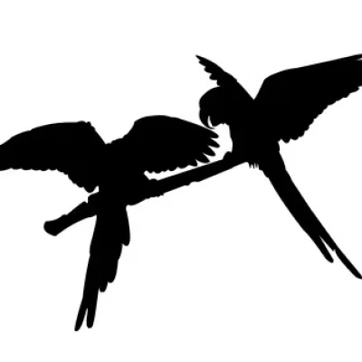 Parrot Pair Silhouette CNC DXF SVG Free Download CNC laser cut design