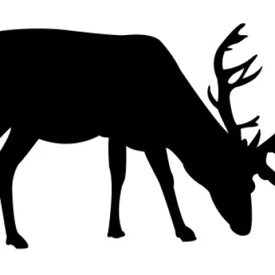 Reindeer Silhouette CNC DXF SVG Free Download CNC laser cut design